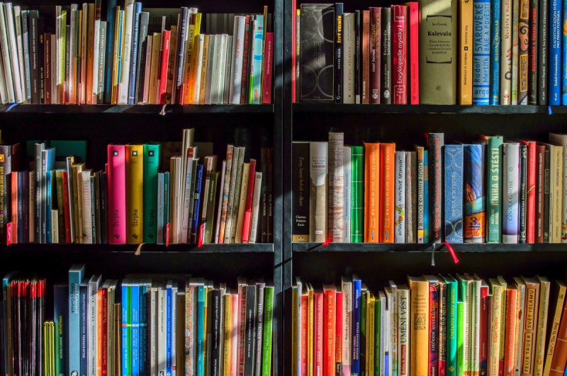 vente-AIGLUN-min_books_bookstore_book_reading_shop_writer_sale_books_read-822866
